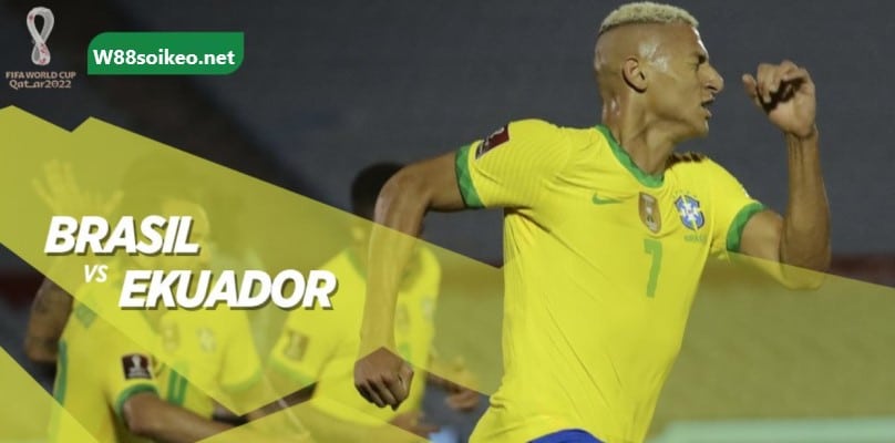 soi kèo trận Brazil vs Ecuador