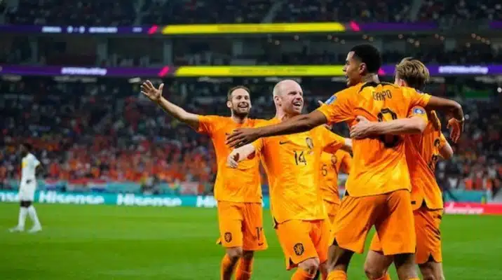 Video highlight kết quả trận đấu Senegal 0-2 Hà Lan